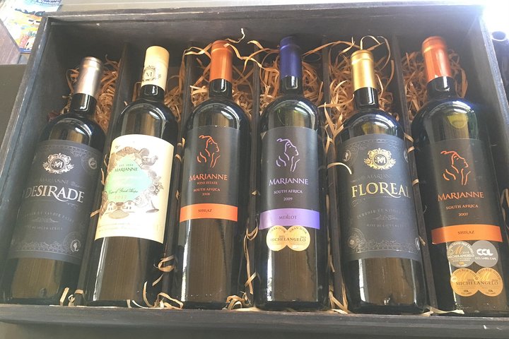 Three Day Private tour: Table Mountain, City, Cape Peninsula and Winelands - Image 3