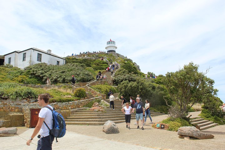 T/Mountain Cape Point + Stellenbosch Wineries / Group (10) 2 Days - Image 5