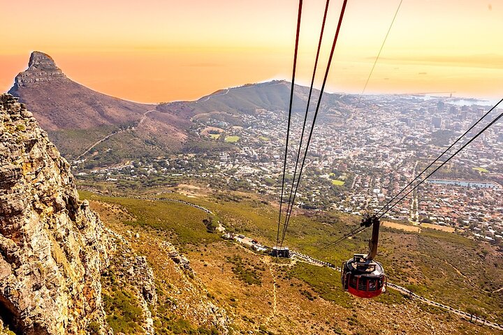 Top 10 Super Tour: Table Mountain, Penguins & Cape of Good Hope Small Group Trip - Image 3