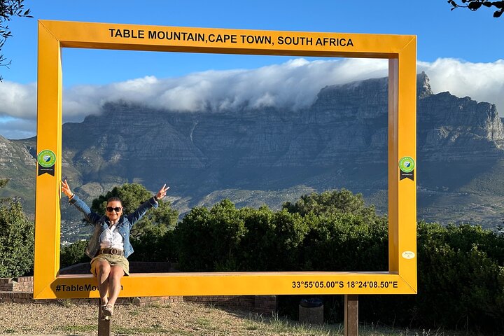 Top 10 Super Tour: Table Mountain, Penguins & Cape of Good Hope Small Group Trip - Image 2