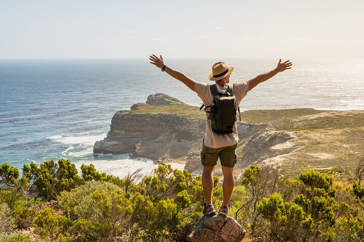 Top 10 Super Tour: Table Mountain, Penguins & Cape of Good Hope Small Group Trip - Image 4