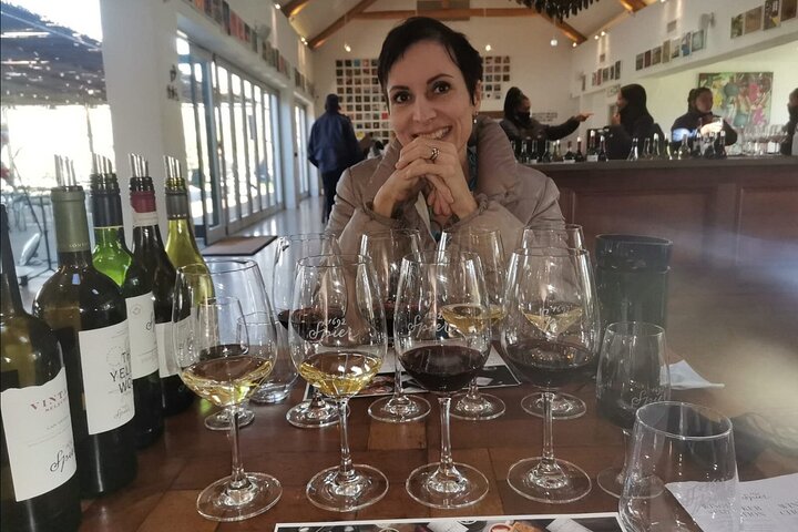 Top 3 Wineries in Cape Town Private Tour and Wine Tasting - Image 2
