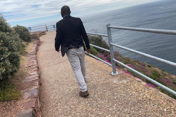 Viator VIP: Private Tour Cape Point, Cape Of Good Hope & Penguins - Image 5