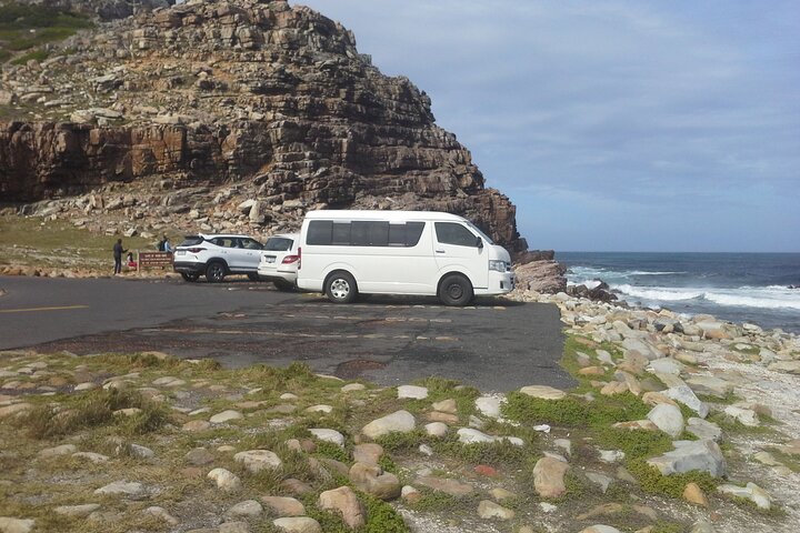 Visit African Penguins and Cape of Good Hope  - Image 5