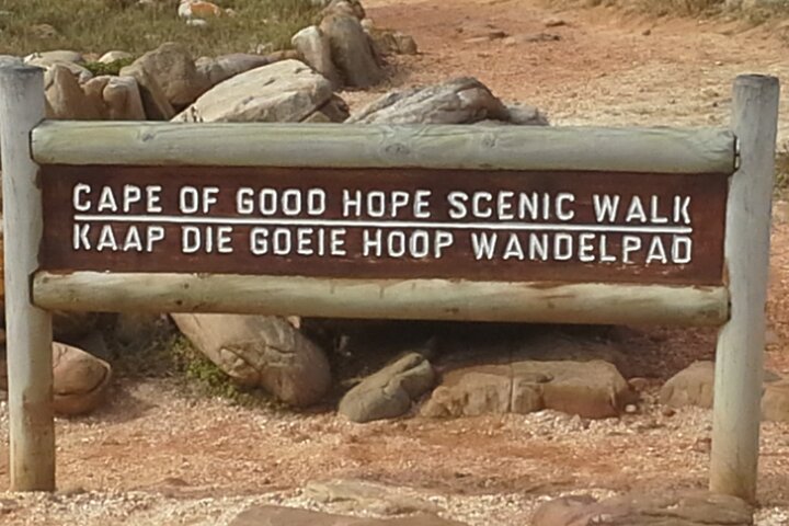 Visit African Penguins and Cape of Good Hope  - Image 4