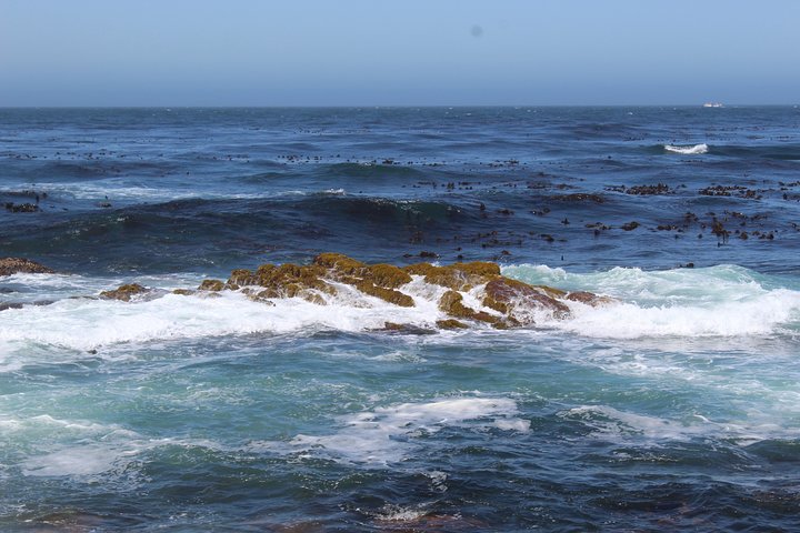 Visit To Robben Island Nelson Mandela Prison Museum + Ferry Tickets H/D - Image 5