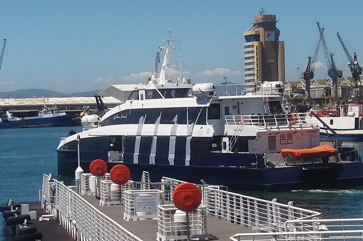Visit To Robben Island Nelson Mandela Prison Museum + Ferry Tickets H/D - Image 2