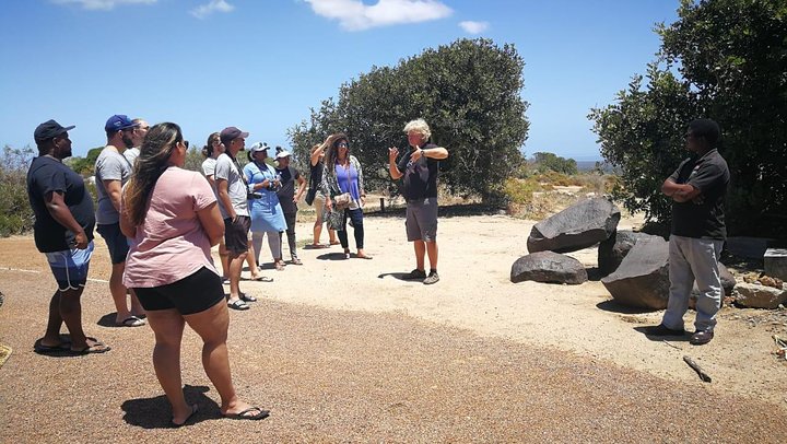 West Coast Day Trip from Cape Town  - Image 2