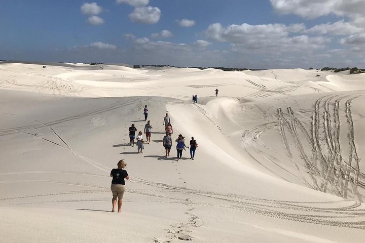West Coast Day Trip from Cape Town  - Image 1