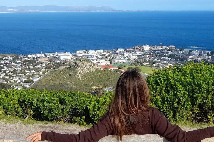 Whales and Wine in Magical Hermanus.. - Image 5