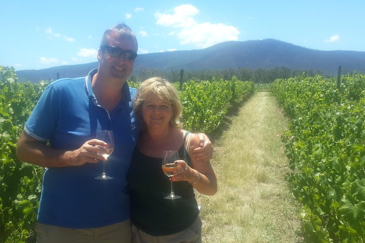 Whales & Wine - Image 2
