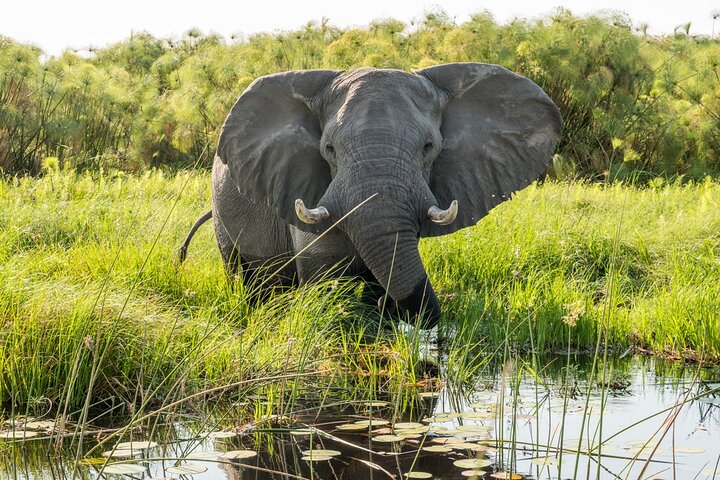 Wine & Cheese Tasting Private Tour in African Safari at Aquila - Image 5