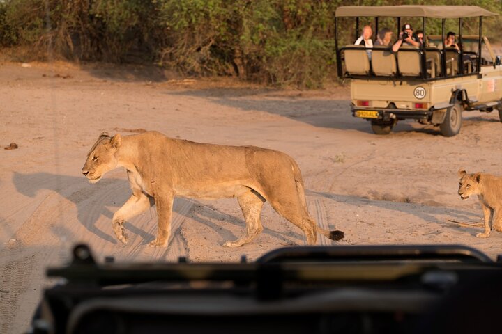 Wine & Cheese Tasting Private Tour in African Safari at Aquila - Image 4
