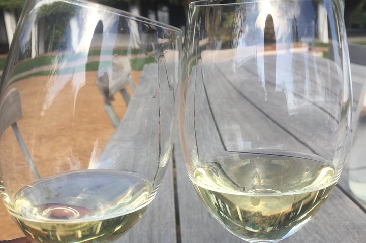 Wine Safari  - Image 4
