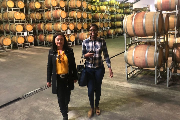 Wine Tasting Private Tour through Durbanville Winelands - Image 5