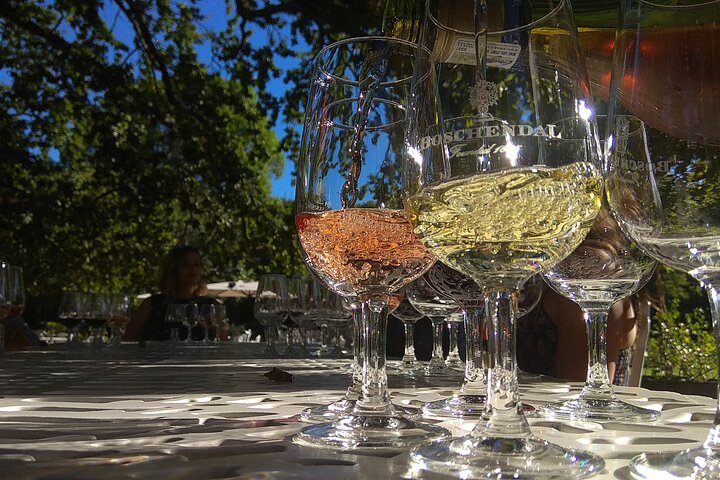 Wine tour to Stellenbosch & Franschhoek • incl tastings & lunch - Image 1