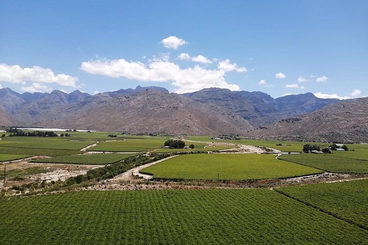  Winelands Tour - Image 1