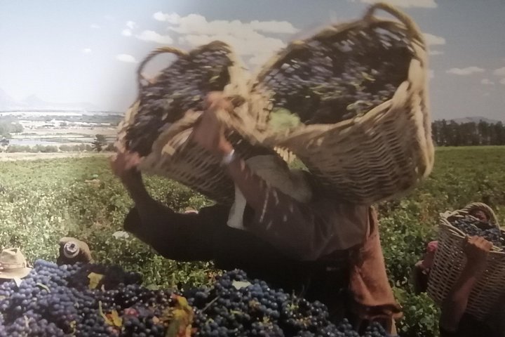  Winelands Tour - Image 3