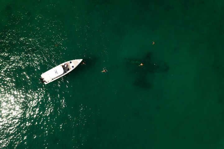 5 Islands tour (Cholon the party island and snorkeling) - Image 3