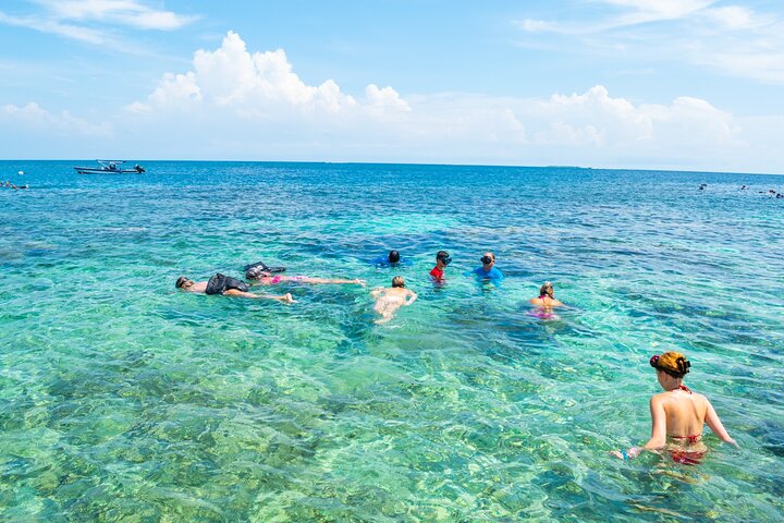 A whole day to the 5 Rosario Islands with snorkeling and plankton - Image 1