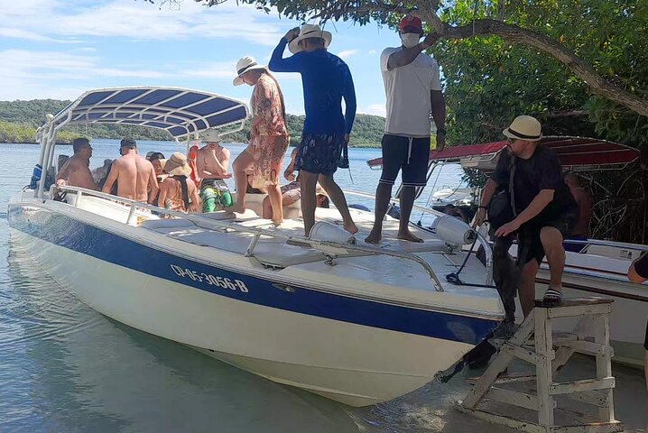 Adventure 5 Rosario Islands with Snorkel and plankton in Cartagena de indias - Image 4