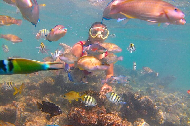 Adventure full day Isla Barú + Mangroves + Snorkel + bioluminescent plankton - Image 1