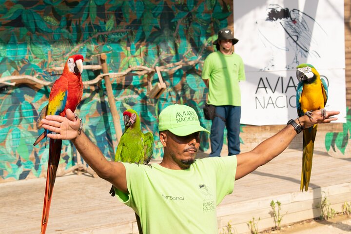 Baru Island, White Beach + Aviary - Image 4