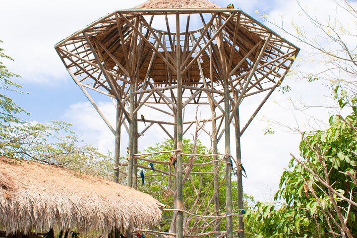 Baru Island, White Beach + Aviary - Image 5