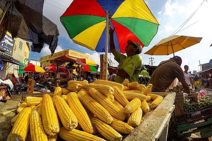 Bazurto Market Half day tour in Cartagena - Image 2