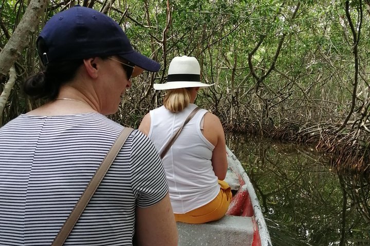 Cartagena : Boquilla and Mangroves Canue Ride (Also for Cruisers) - Image 4