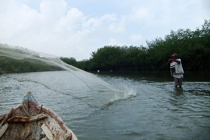 Cartagena canoe mangroves - Image 5
