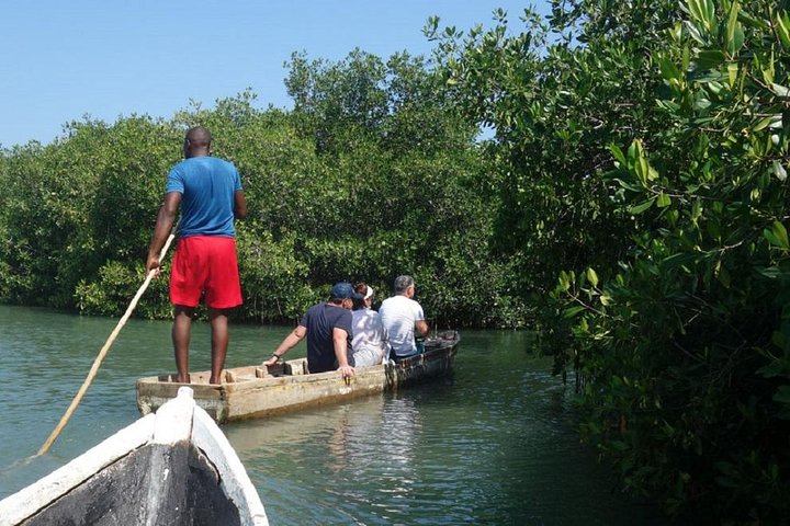 Cartagena canoe mangroves - Image 1