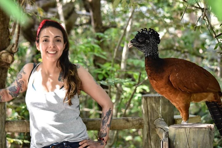 Cartagena private aviary tour - Image 1