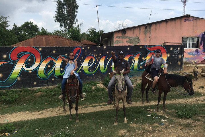 Eco-Tour on Horseback - Image 2