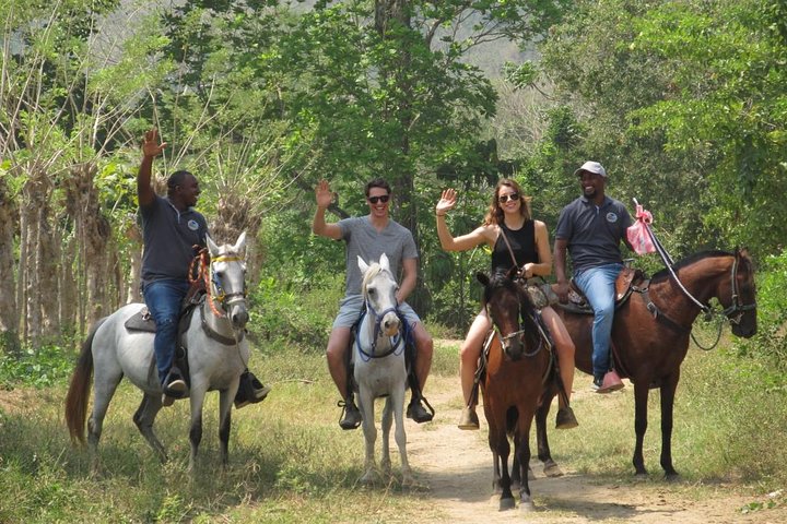 Eco-Tour on Horseback - Image 1