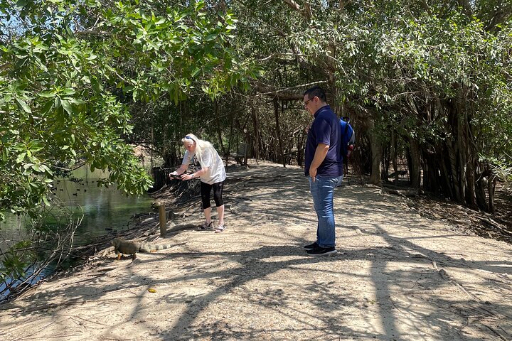 Experience in the National Aviary of Colombia - Image 4