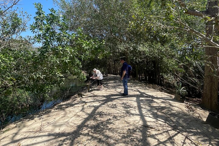 Experience in the National Aviary of Colombia - Image 3