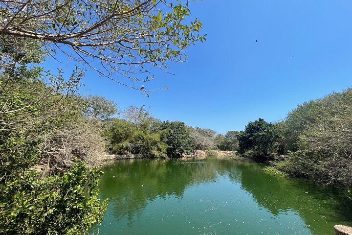 Experience in the National Aviary of Colombia - Image 2