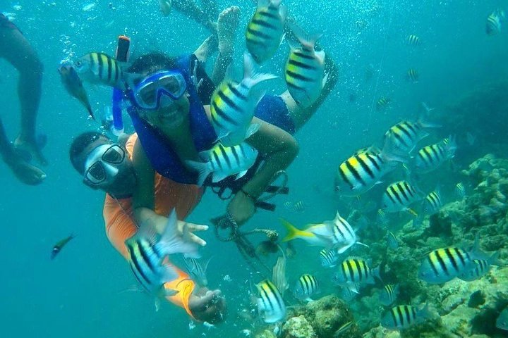 Four Islands Experience Isla Baru - Image 4