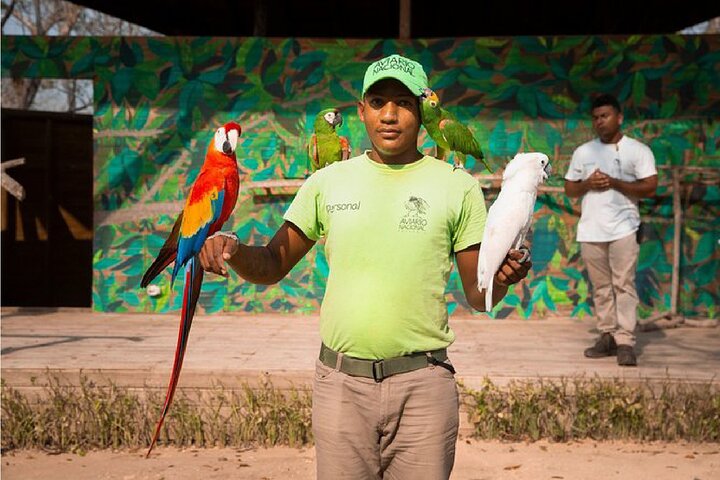 Full day tour aviary with beach in Baru with lunch - Image 3