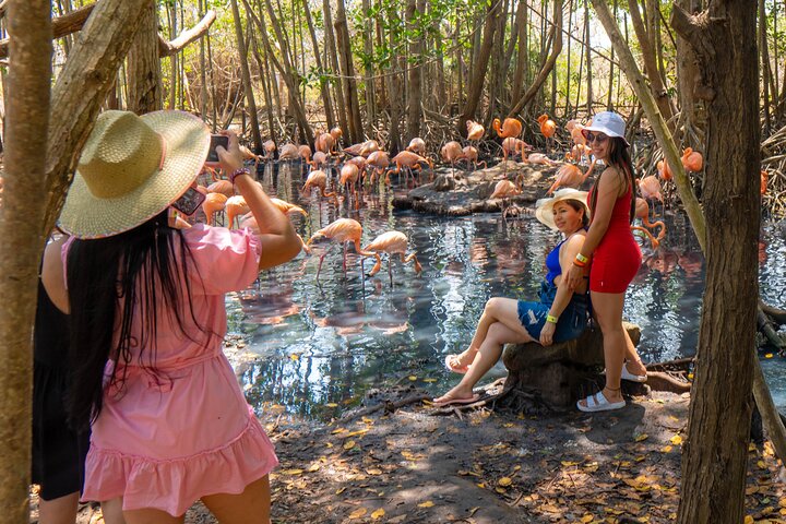 Full Day Tour to the Playa Blanca National Aviary and Plankton - Image 3