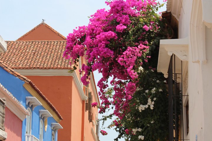 GOD 5- MAGICAL STOPS IN THE OLD CITY Shore excursions - Image 5