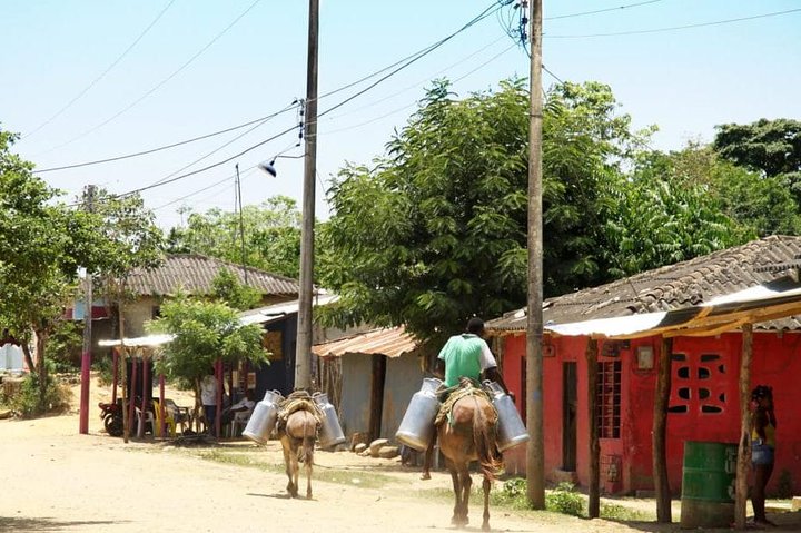 Guided visit to San Basilio de Palenque: World Cultural Heritage - Image 2
