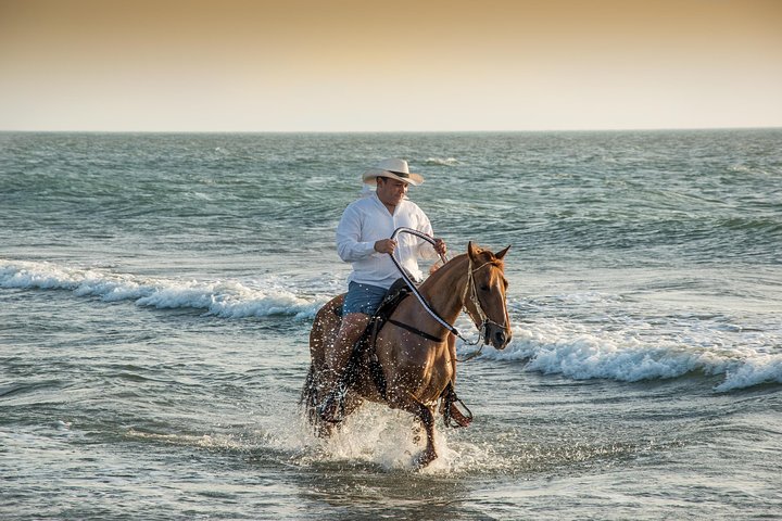 Horseback riding tour in a Colombian Paso fino horse - Image 1