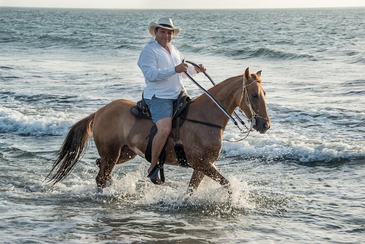 Horseback riding tour in a Colombian Paso fino horse - Image 5