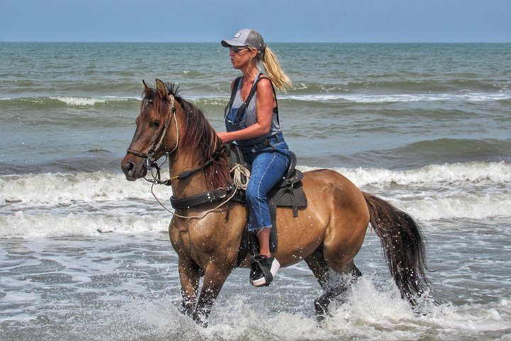 Horseback riding tour in a Colombian Paso fino horse - Image 3