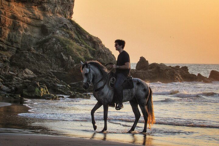 Horseback riding tour in a Colombian Paso fino horse - Image 4