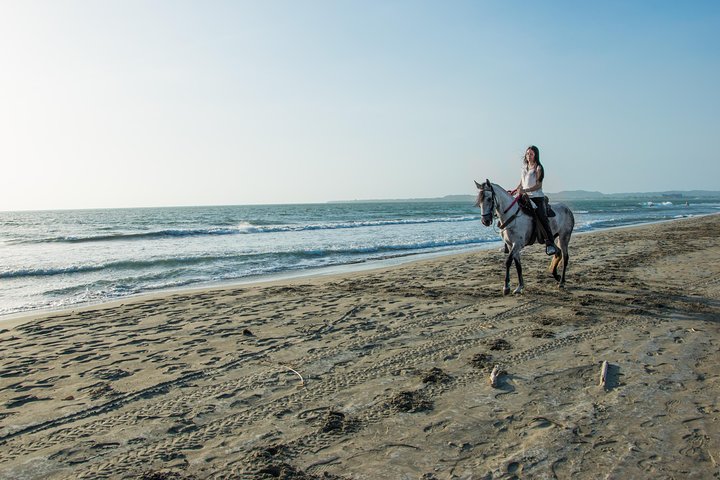 Horseback riding tour in a Colombian Paso fino horse - Image 2