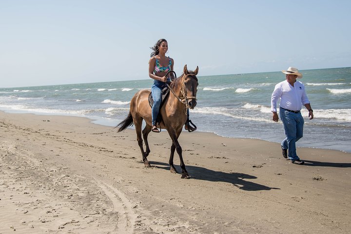 Horseback Riding Tour in Beach of Cartagena - Image 4