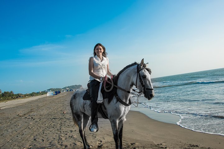 Horseback Riding Tour in Beach of Cartagena - Image 2